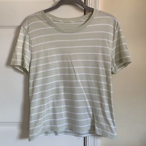 Everlane striped mint tee